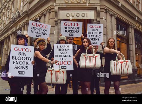 is Gucci animal cruelty free